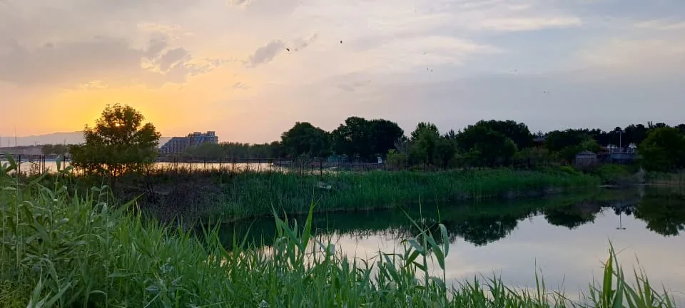 Берег водохранилища