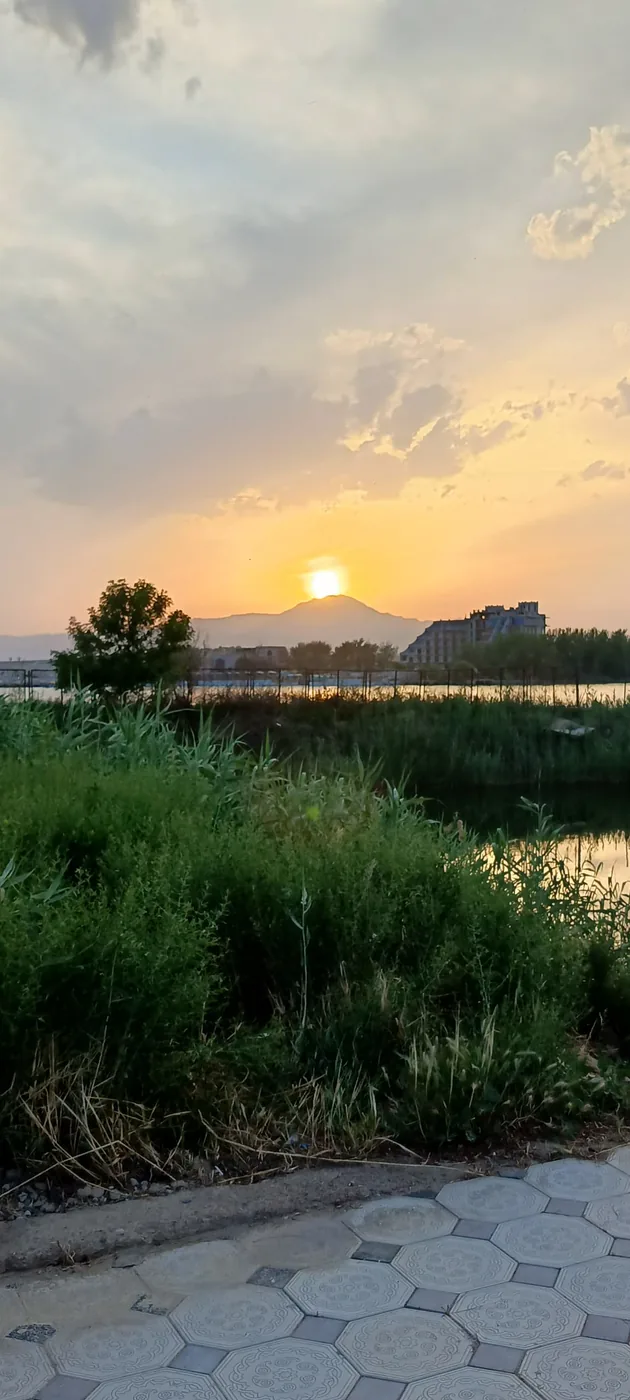 Берег водохранилища